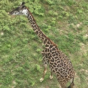 Meet your Posher, Gavin